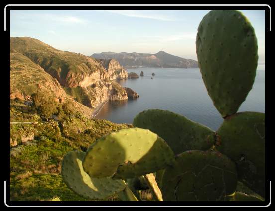 Foto successiva